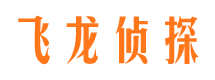 永丰市私家侦探